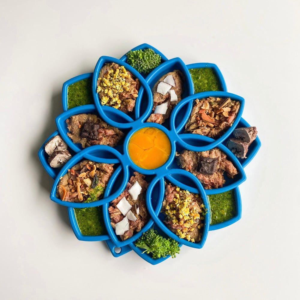 Mandala eTray Shallow Slow Feeder Dog Bowl for Enrichment | USA Made